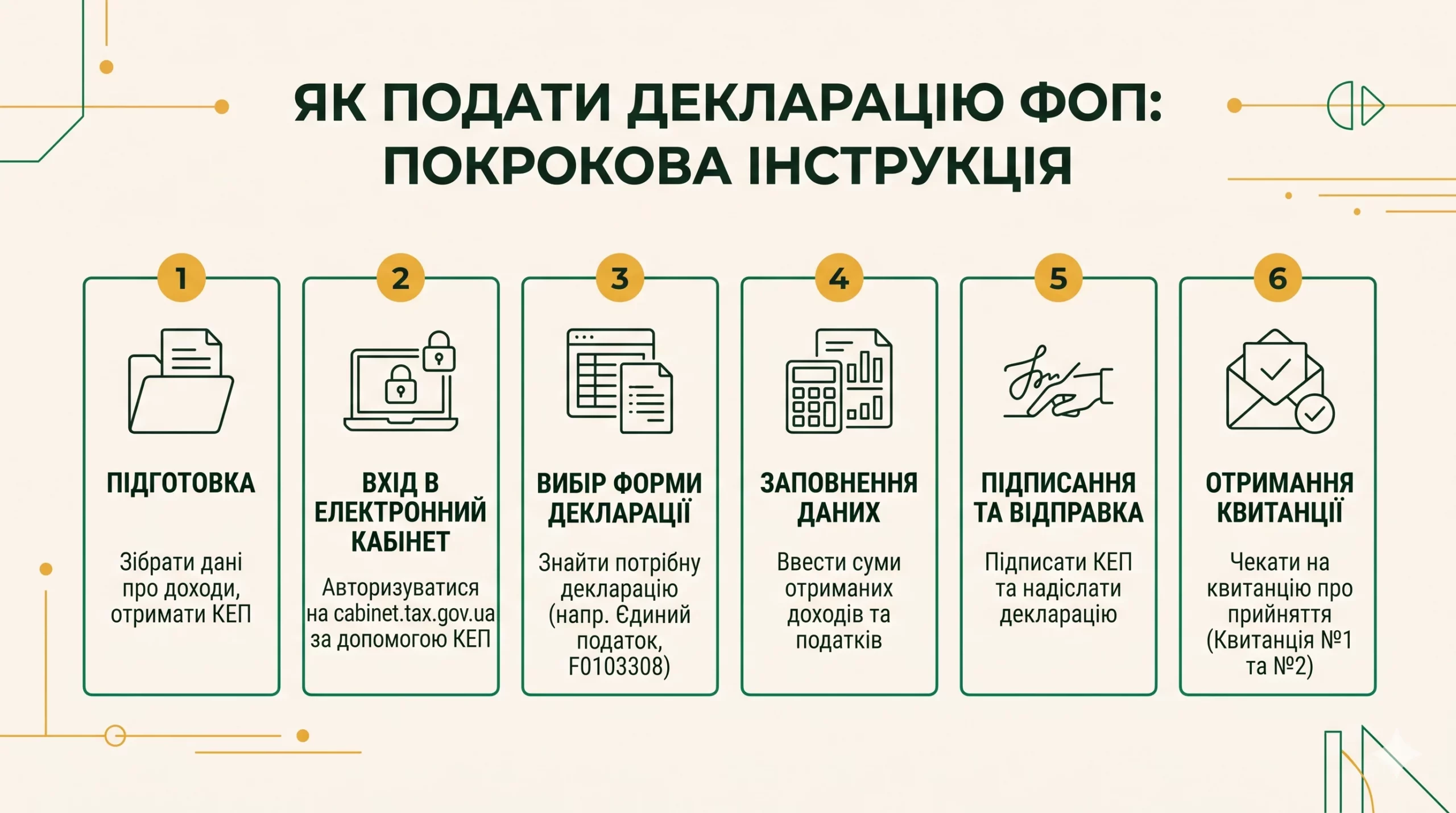 Як подати декларацію ФОП: покрокова інструкція - інфографіка