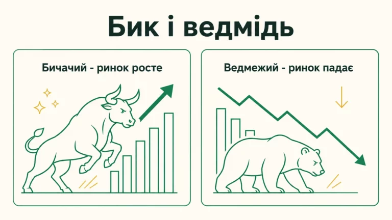 Бичачий і ведмежий ринок: що це простими словами - інфографіка
