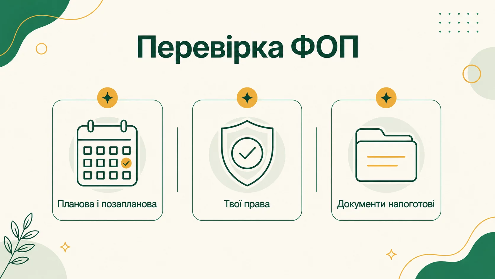 Податкова перевірка ФОП: як підготуватись у 2026 році - інфографіка